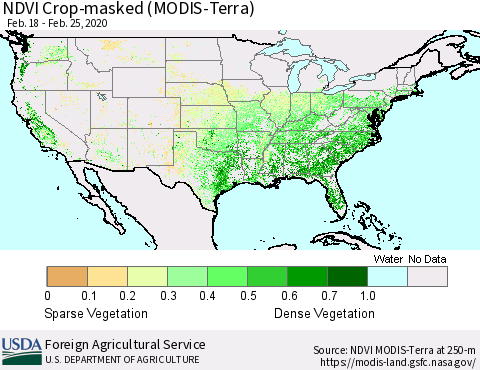 United States NDVI Crop-masked (MODIS-Terra) Thematic Map For 2/21/2020 - 2/29/2020
