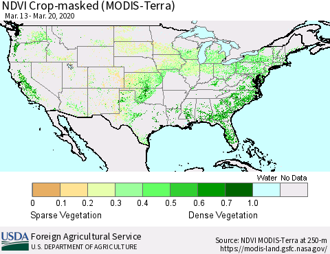 United States NDVI Crop-masked (MODIS-Terra) Thematic Map For 3/11/2020 - 3/20/2020