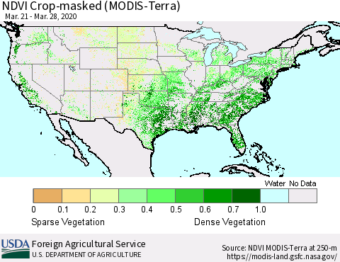United States Cropland NDVI (Terra-MODIS) Thematic Map For 3/21/2020 - 3/31/2020