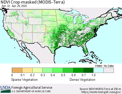 United States NDVI Crop-masked (MODIS-Terra) Thematic Map For 4/21/2020 - 4/30/2020