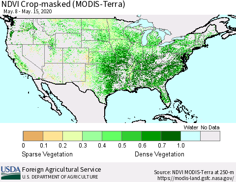 United States NDVI Crop-masked (MODIS-Terra) Thematic Map For 5/11/2020 - 5/20/2020