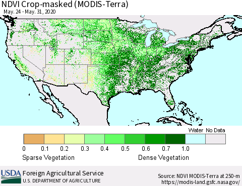United States NDVI Crop-masked (MODIS-Terra) Thematic Map For 5/21/2020 - 5/31/2020
