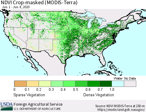 United States NDVI Crop-masked (MODIS-Terra) Thematic Map For 6/1/2020 - 6/10/2020