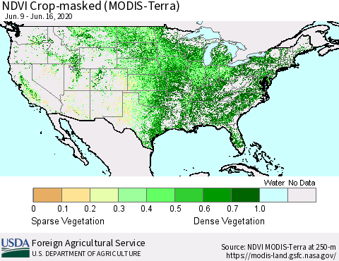 United States Cropland NDVI (Terra-MODIS) Thematic Map For 6/11/2020 - 6/20/2020