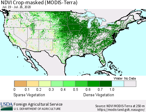 United States Cropland NDVI (Terra-MODIS) Thematic Map For 7/21/2020 - 7/31/2020