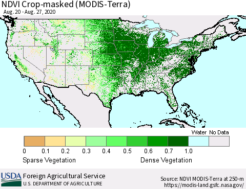 United States Cropland NDVI (Terra-MODIS) Thematic Map For 8/21/2020 - 8/31/2020
