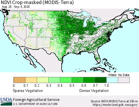 United States Cropland NDVI (Terra-MODIS) Thematic Map For 9/1/2020 - 9/10/2020