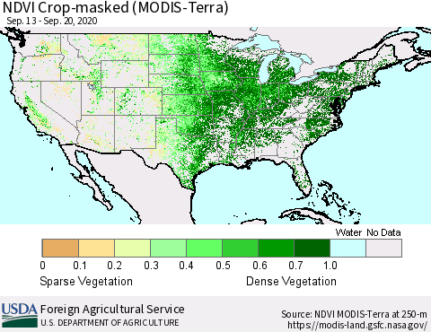 United States NDVI Crop-masked (MODIS-Terra) Thematic Map For 9/11/2020 - 9/20/2020