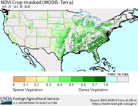 United States Cropland NDVI (Terra-MODIS) Thematic Map For 10/21/2020 - 10/31/2020