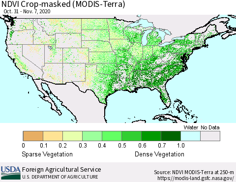 United States NDVI Crop-masked (MODIS-Terra) Thematic Map For 11/1/2020 - 11/10/2020