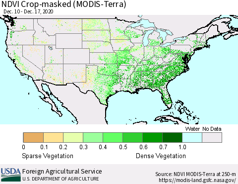 United States Cropland NDVI (Terra-MODIS) Thematic Map For 12/11/2020 - 12/20/2020