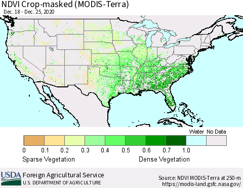 United States Cropland NDVI (Terra-MODIS) Thematic Map For 12/21/2020 - 12/31/2020
