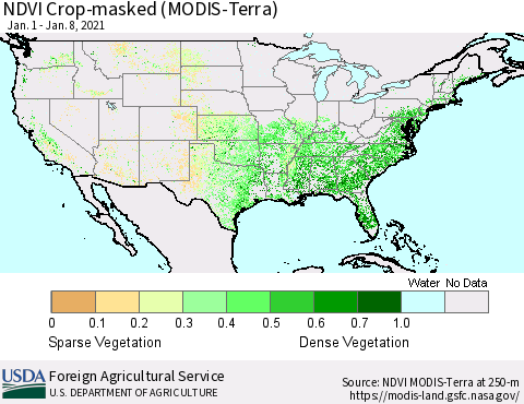 United States Cropland NDVI (Terra-MODIS) Thematic Map For 1/1/2021 - 1/10/2021