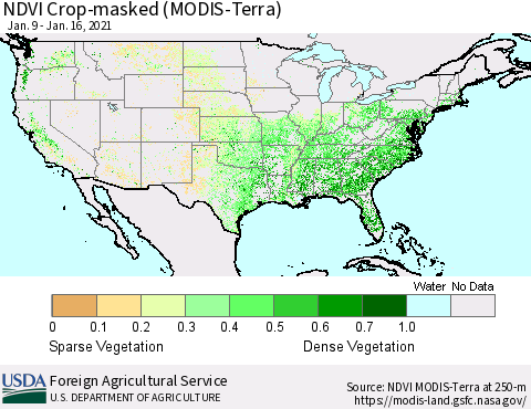United States NDVI Crop-masked (MODIS-Terra) Thematic Map For 1/11/2021 - 1/20/2021