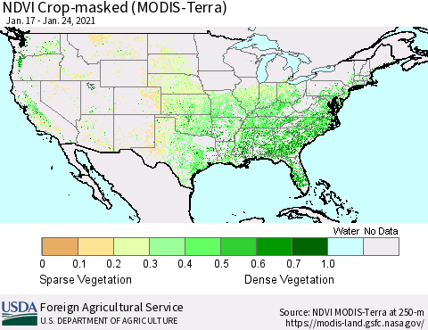 United States Cropland NDVI (Terra-MODIS) Thematic Map For 1/21/2021 - 1/31/2021
