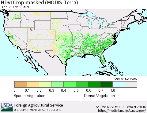 United States Cropland NDVI (Terra-MODIS) Thematic Map For 2/1/2021 - 2/10/2021
