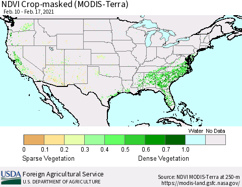 United States NDVI Crop-masked (MODIS-Terra) Thematic Map For 2/11/2021 - 2/20/2021