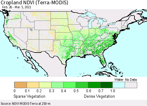 United States Cropland NDVI (Terra-MODIS) Thematic Map For 2/26/2021 - 3/5/2021