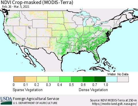 United States Cropland NDVI (Terra-MODIS) Thematic Map For 3/1/2021 - 3/10/2021