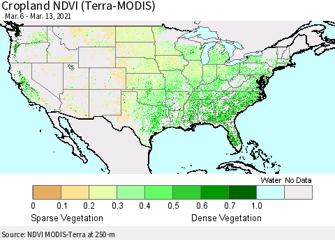 United States Cropland NDVI (Terra-MODIS) Thematic Map For 3/6/2021 - 3/13/2021