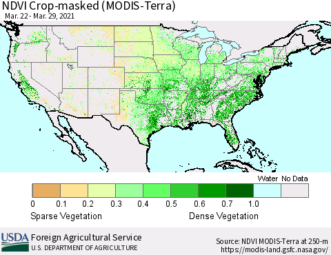 United States Cropland NDVI (Terra-MODIS) Thematic Map For 3/21/2021 - 3/31/2021