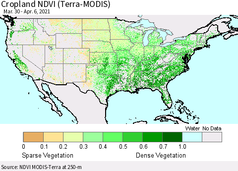 United States Cropland NDVI (Terra-MODIS) Thematic Map For 3/30/2021 - 4/6/2021