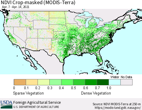 United States Cropland NDVI (Terra-MODIS) Thematic Map For 4/11/2021 - 4/20/2021