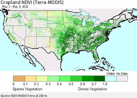 United States Cropland NDVI (Terra-MODIS) Thematic Map For 5/1/2021 - 5/8/2021