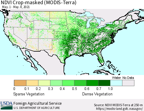 United States NDVI Crop-masked (MODIS-Terra) Thematic Map For 5/1/2021 - 5/10/2021