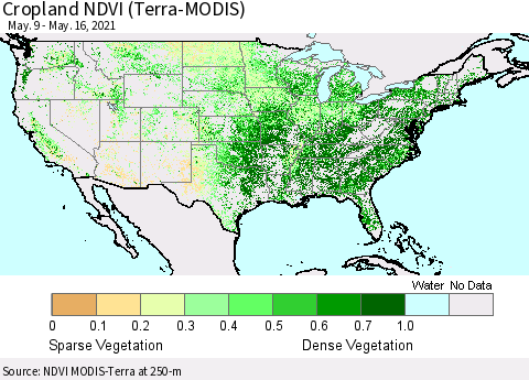United States Cropland NDVI (Terra-MODIS) Thematic Map For 5/9/2021 - 5/16/2021