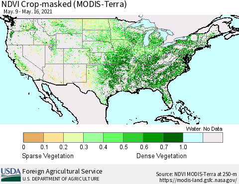 United States NDVI Crop-masked (MODIS-Terra) Thematic Map For 5/11/2021 - 5/20/2021
