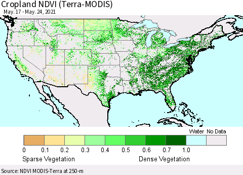 United States Cropland NDVI (Terra-MODIS) Thematic Map For 5/17/2021 - 5/24/2021