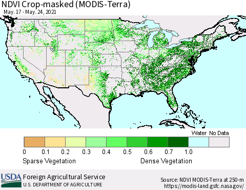 United States NDVI Crop-masked (MODIS-Terra) Thematic Map For 5/21/2021 - 5/31/2021