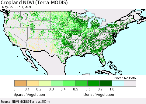 United States Cropland NDVI (Terra-MODIS) Thematic Map For 5/25/2021 - 6/1/2021