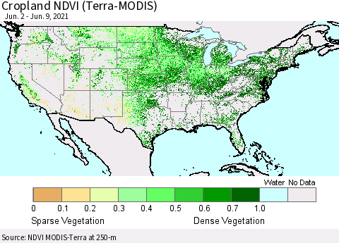 United States Cropland NDVI (Terra-MODIS) Thematic Map For 6/2/2021 - 6/9/2021