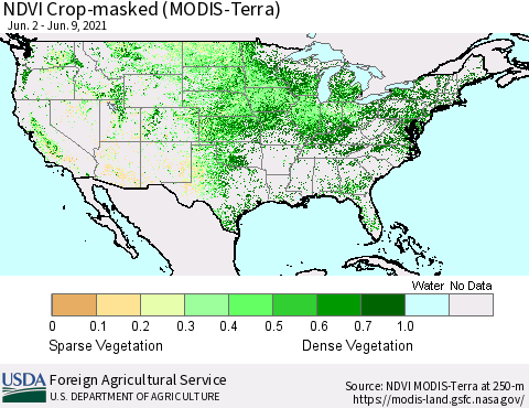 United States Cropland NDVI (Terra-MODIS) Thematic Map For 6/1/2021 - 6/10/2021