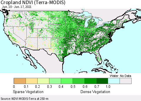 United States Cropland NDVI (Terra-MODIS) Thematic Map For 6/10/2021 - 6/17/2021