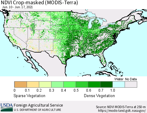 United States NDVI Crop-masked (MODIS-Terra) Thematic Map For 6/11/2021 - 6/20/2021