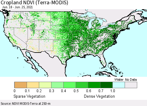 United States Cropland NDVI (Terra-MODIS) Thematic Map For 6/18/2021 - 6/25/2021