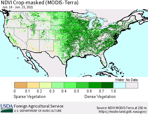 United States NDVI Crop-masked (MODIS-Terra) Thematic Map For 6/21/2021 - 6/30/2021