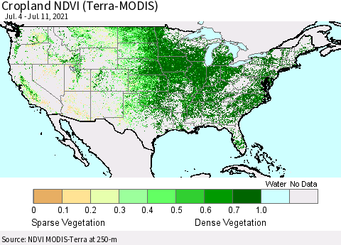 United States Cropland NDVI (Terra-MODIS) Thematic Map For 7/4/2021 - 7/11/2021