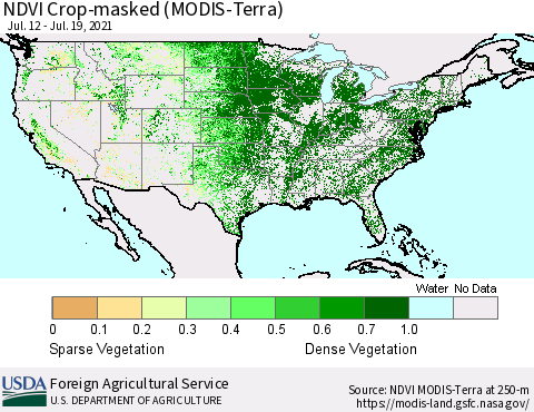 United States Cropland NDVI (Terra-MODIS) Thematic Map For 7/11/2021 - 7/20/2021