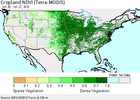 United States Cropland NDVI (Terra-MODIS) Thematic Map For 7/20/2021 - 7/27/2021