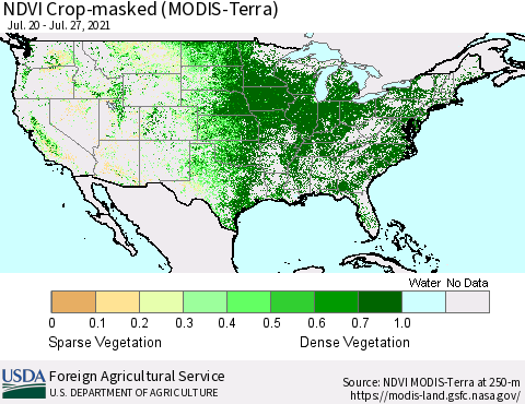 United States NDVI Crop-masked (MODIS-Terra) Thematic Map For 7/21/2021 - 7/31/2021