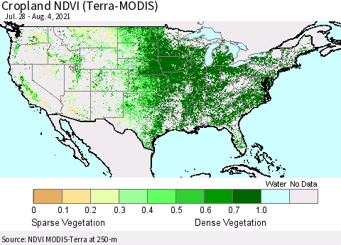 United States Cropland NDVI (Terra-MODIS) Thematic Map For 7/28/2021 - 8/4/2021