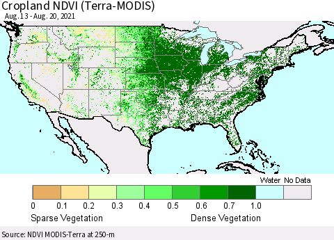 United States Cropland NDVI (Terra-MODIS) Thematic Map For 8/11/2021 - 8/20/2021