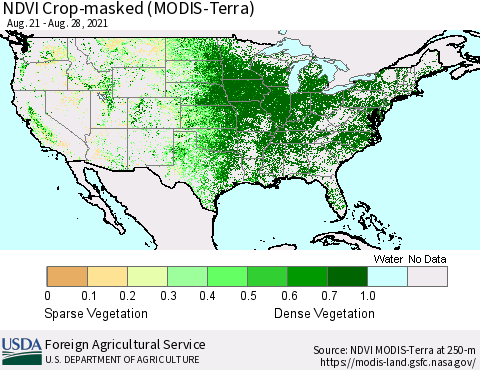 United States Cropland NDVI (Terra-MODIS) Thematic Map For 8/21/2021 - 8/31/2021