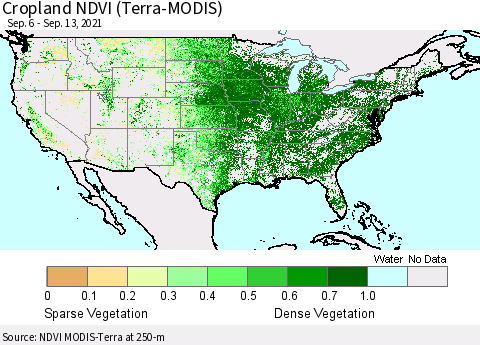 United States Cropland NDVI (Terra-MODIS) Thematic Map For 9/6/2021 - 9/13/2021