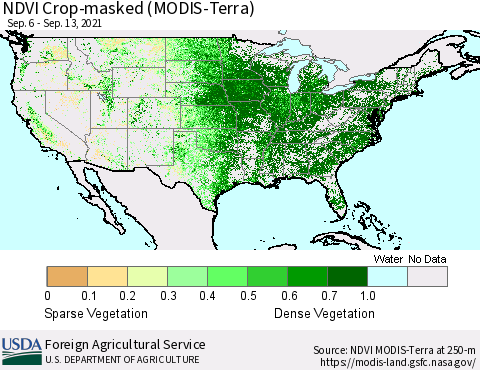 United States Cropland NDVI (Terra-MODIS) Thematic Map For 9/11/2021 - 9/20/2021