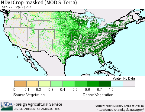 United States Cropland NDVI (Terra-MODIS) Thematic Map For 9/21/2021 - 9/30/2021